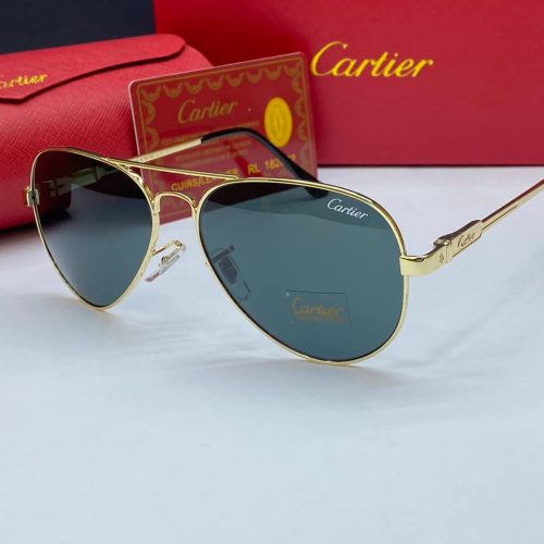 photo_3_2025-11-22_09-06-59